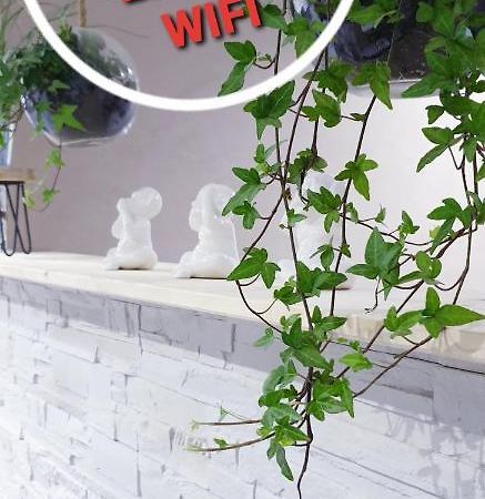 Studio Zen Et Cosy, Neuf En Pleine Ville Saint-Claude Ngoại thất bức ảnh
